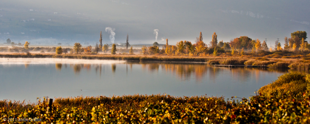 Farbenpracht am Kalterer See