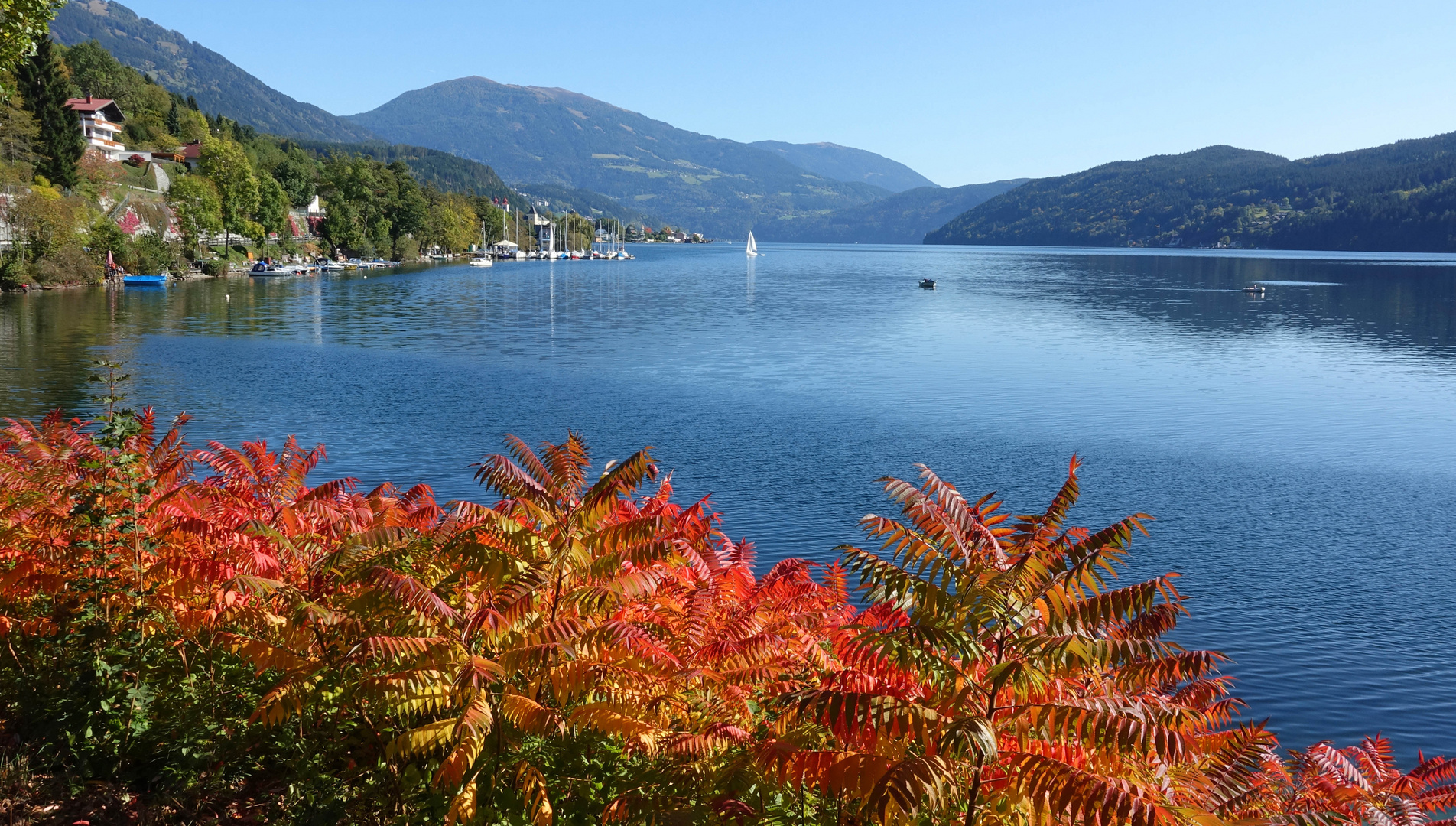 Farbenpracht am Milllstätter See