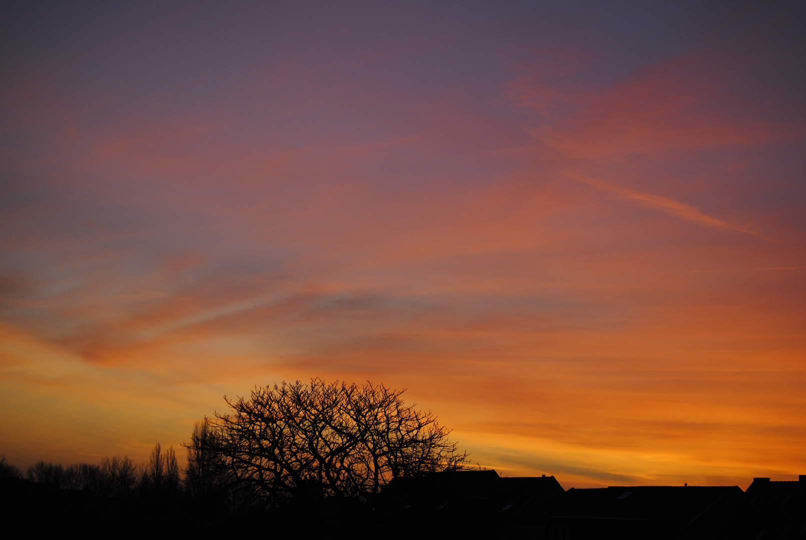 Farbenpracht am Morgen