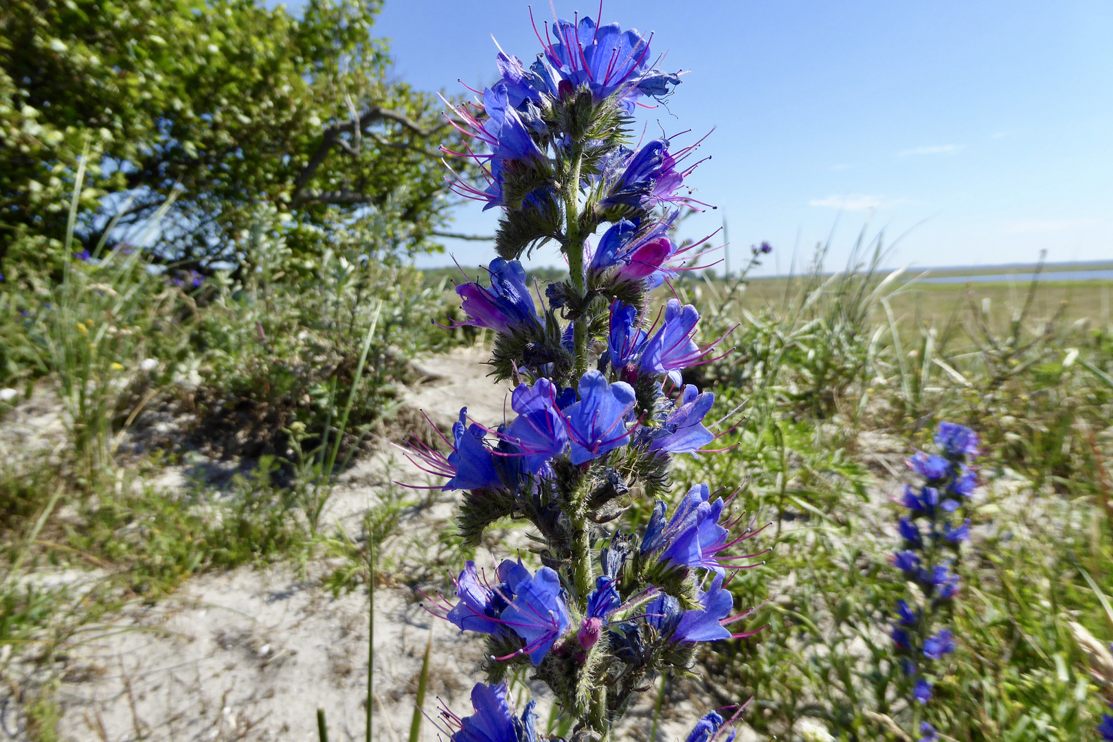 Farbenpracht am Strand