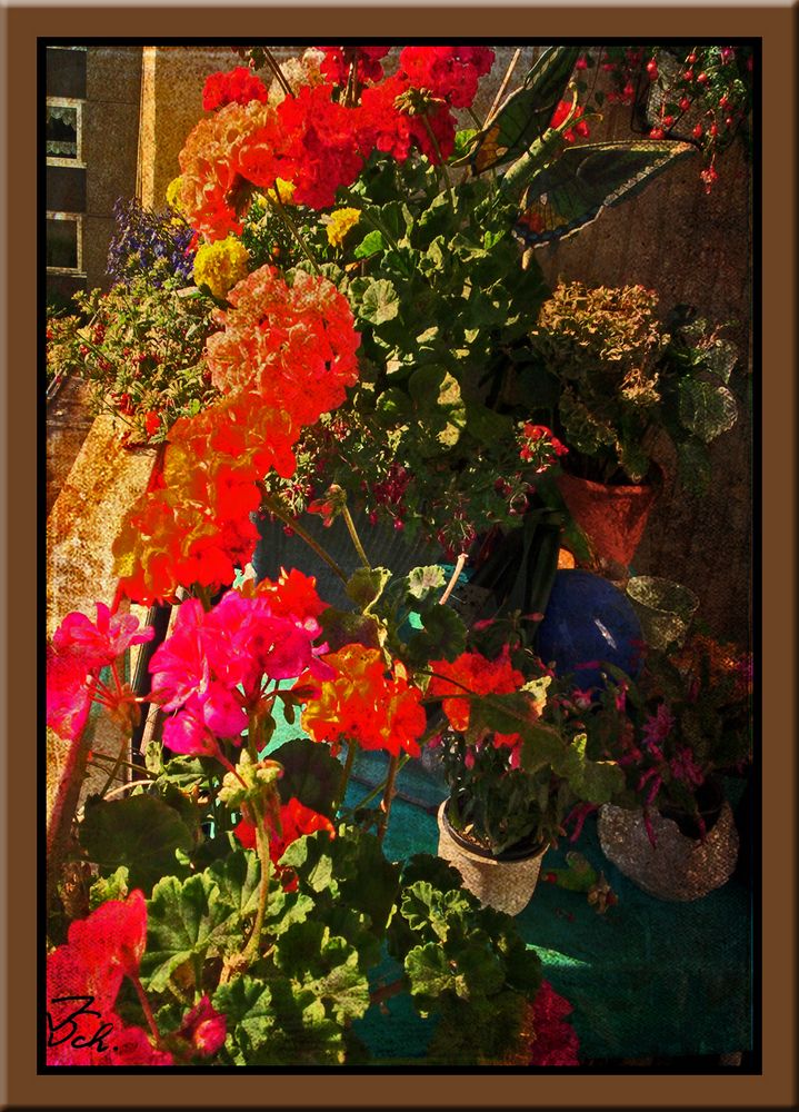 Farbenpracht auf dem Balkon