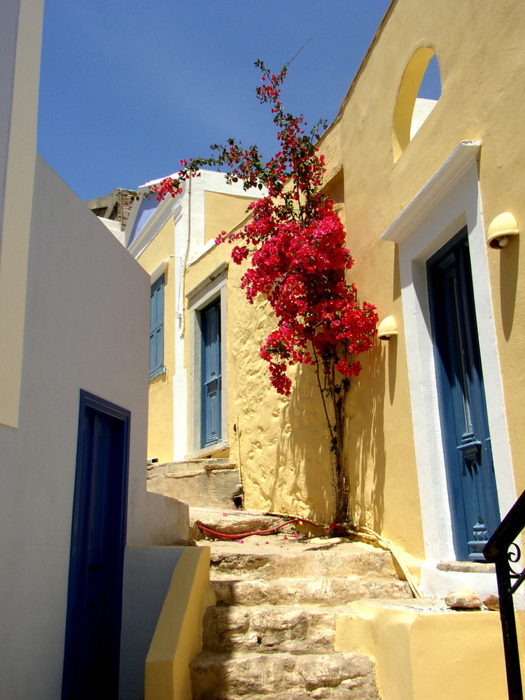 Farbenpracht auf der Insel Symi