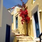 Farbenpracht auf der Insel Symi