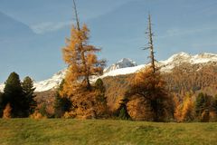 Farbenpracht der Natur