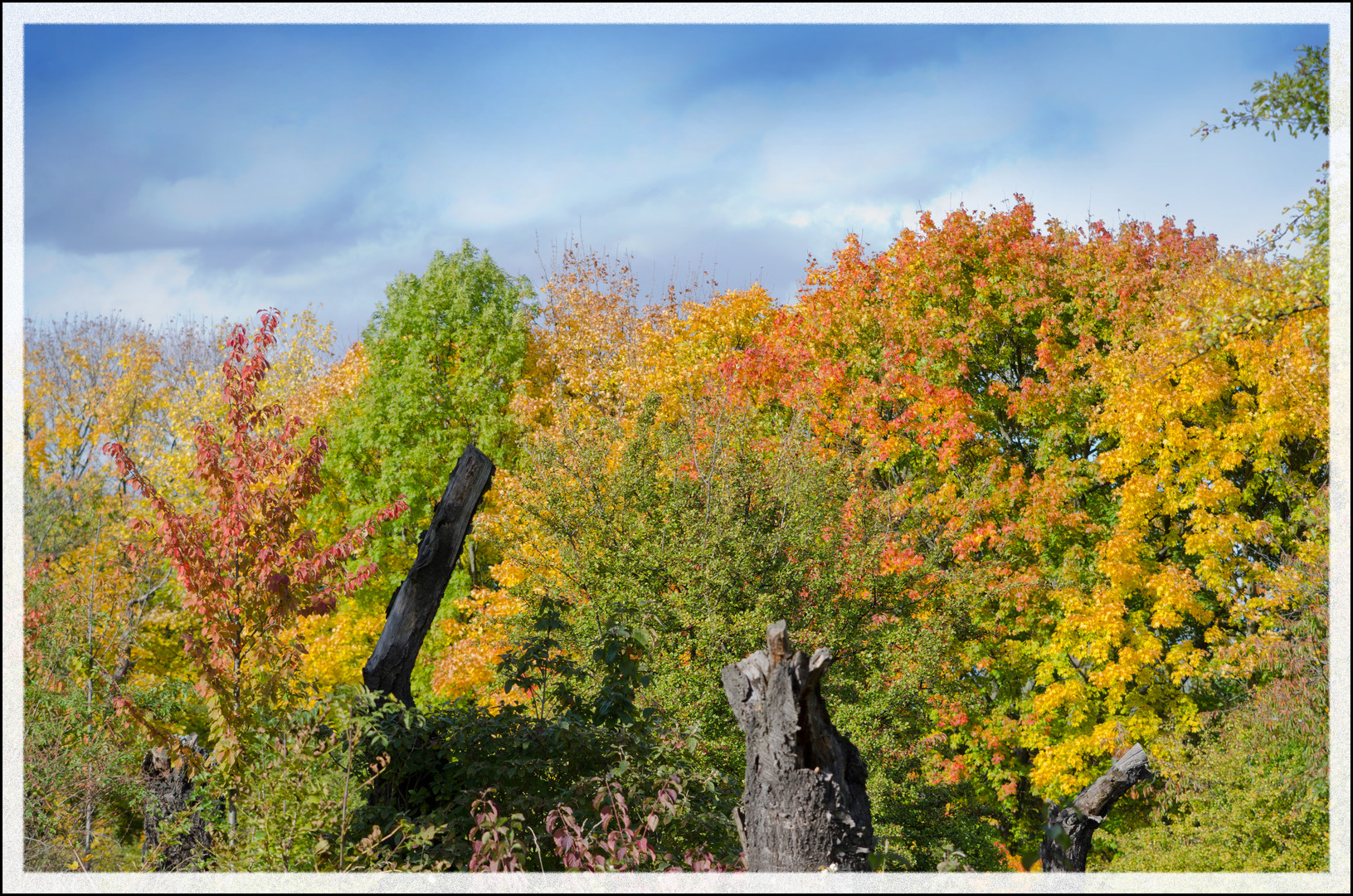 Farbenpracht der Natur ..