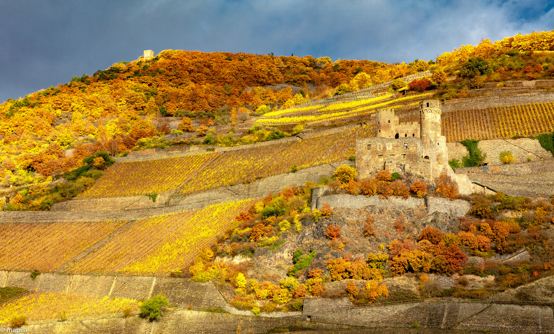 --- Farbenpracht des Herbstes 2018 ---