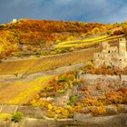 --- Farbenpracht des Herbstes 2018 ---