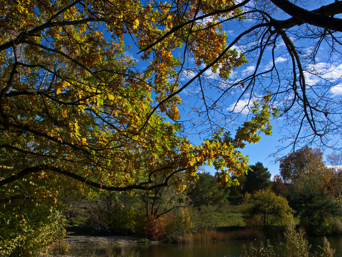 Farbenpracht des Herbstes!