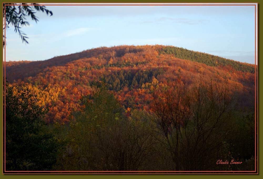 Farbenpracht des Herbstes