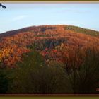 Farbenpracht des Herbstes