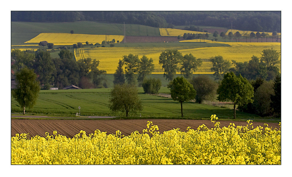 Farbenpracht im Auetal