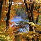 Farbenpracht im Gatineau-Nationalpark in Kanada