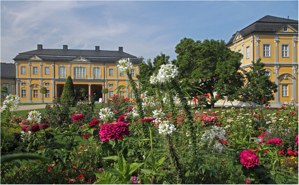 Farbenpracht im Geraer Küchengarten