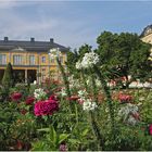 Farbenpracht im Geraer Küchengarten