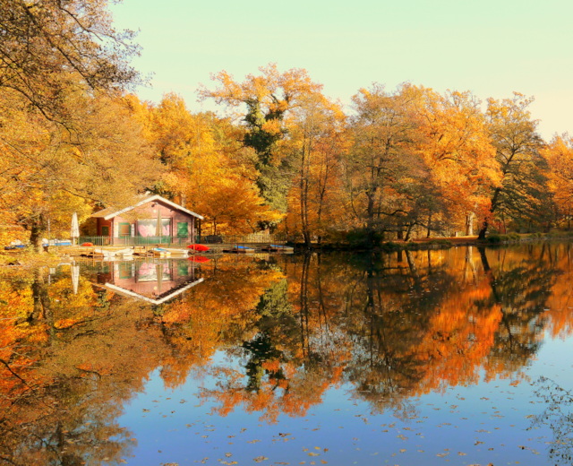 Farbenpracht im Herbst