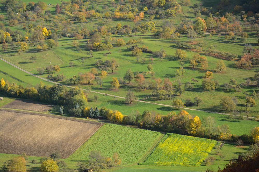 Farbenpracht im Herbst