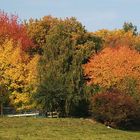 Farbenpracht im Herbst