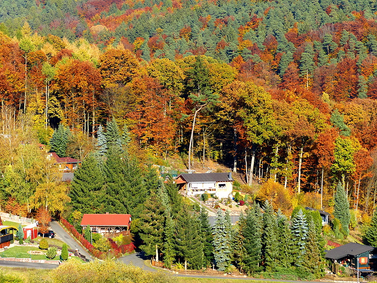 Farbenpracht im Knüll