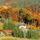 Farbenpracht im Knüll