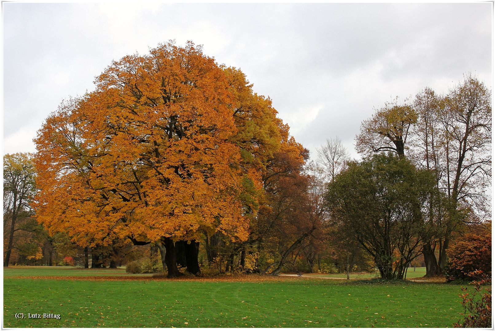 Farbenpracht im Muskauer Park