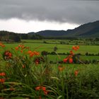 Farbenpracht in den Comeragh mountains