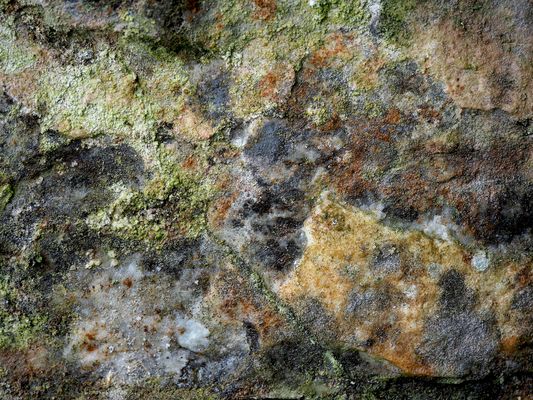 Farbenprächtige Felswand mit Flechten und Eis ...