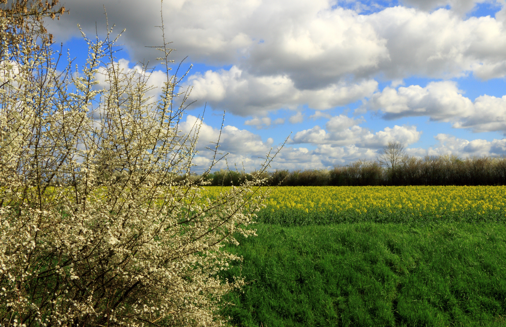 Farbenprächtige Landschaft