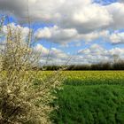 Farbenprächtige Landschaft