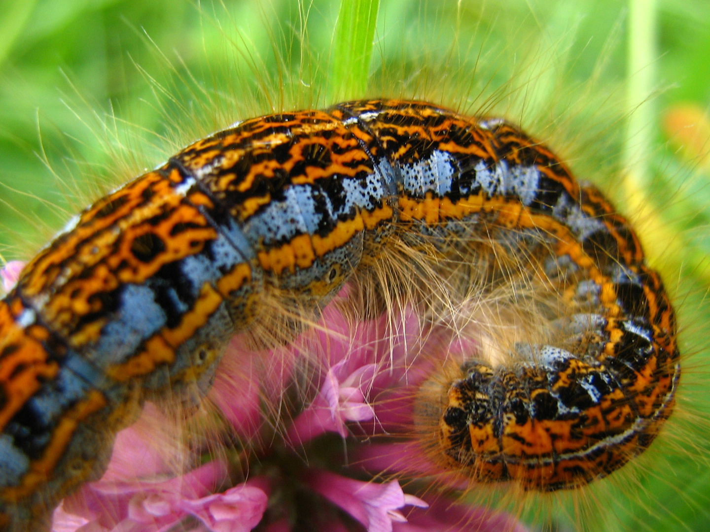 Farbenprächtiger Frühling