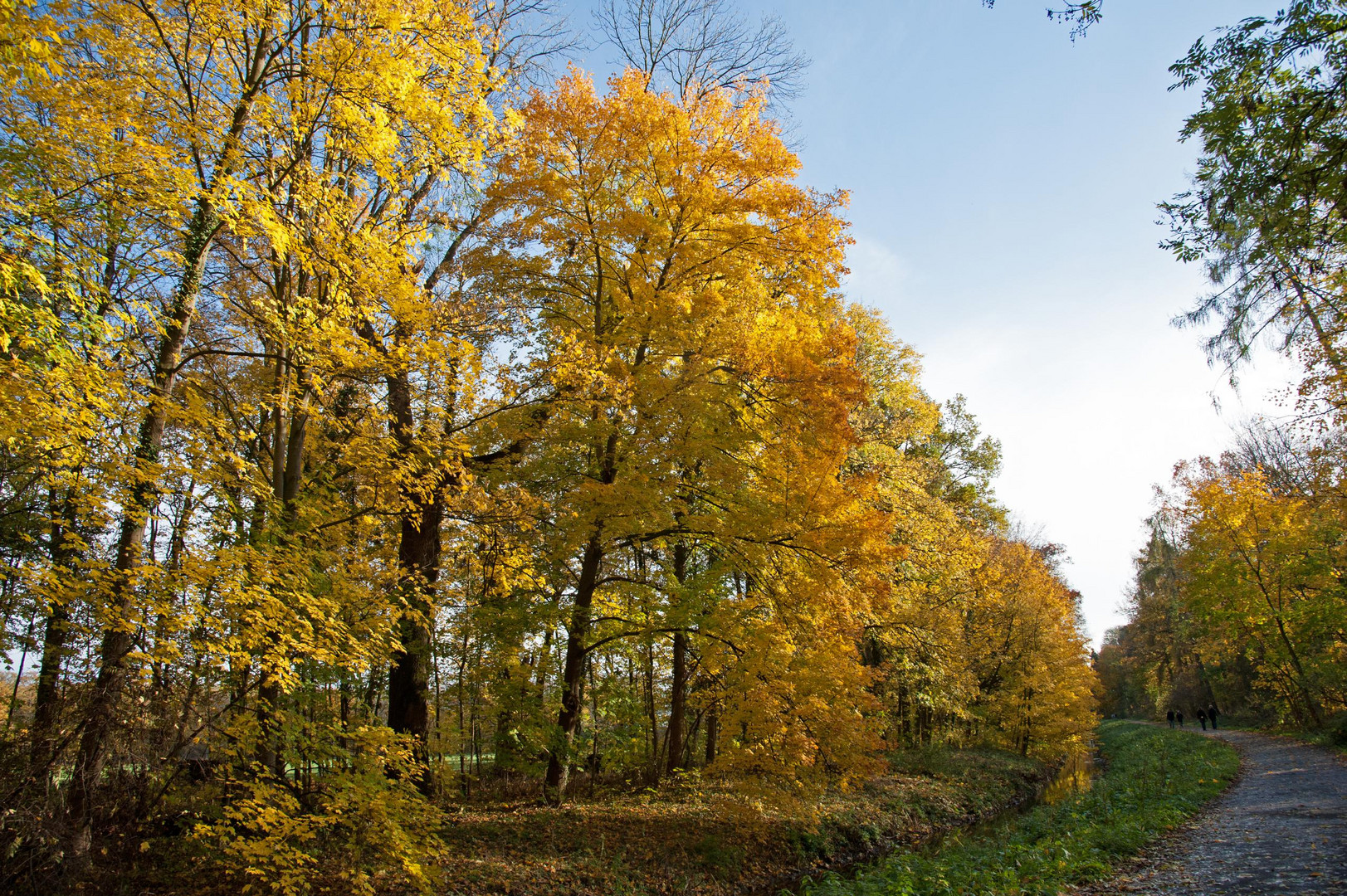 Farbenprächtiger Herbst