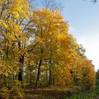 Farbenprächtiger Herbst