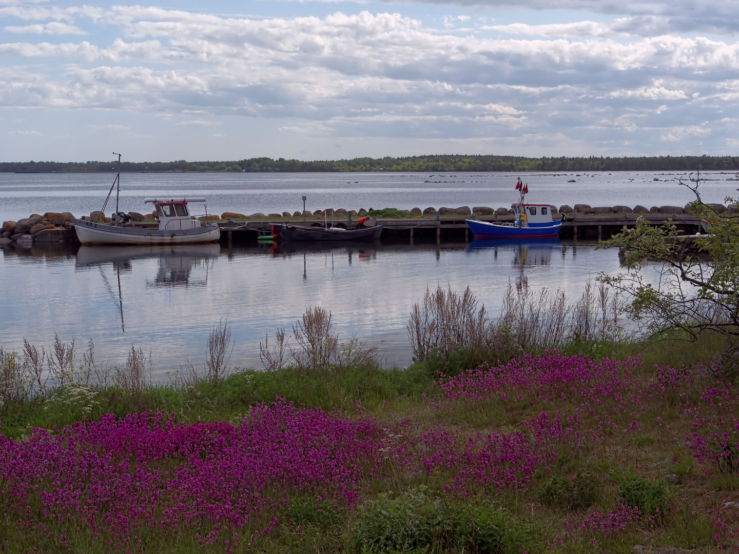 farbenprächtiges Öland