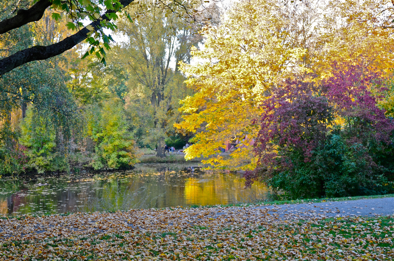 Farbenrausch