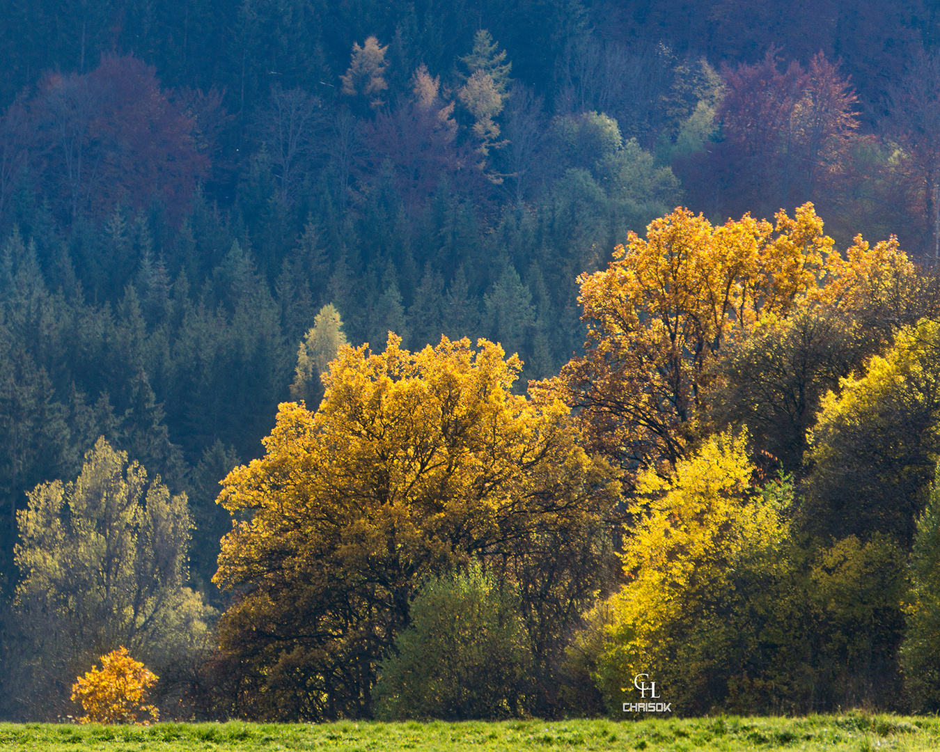 Farbenrausch