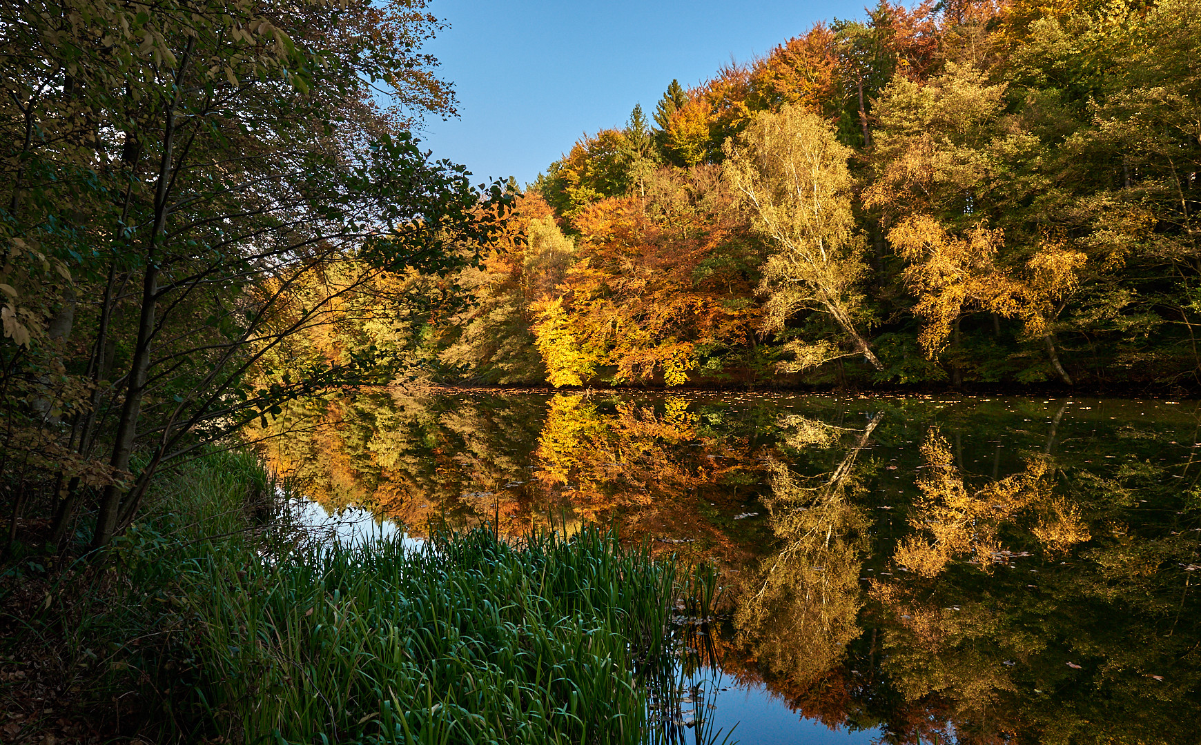 Farbenrausch am Blechhammer Weiher und dann noch gespiegelt.