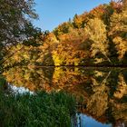 Farbenrausch am Blechhammer Weiher und dann noch gespiegelt.