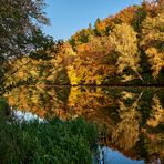 Farbenrausch am Blechhammer Weiher und dann noch gespiegelt.