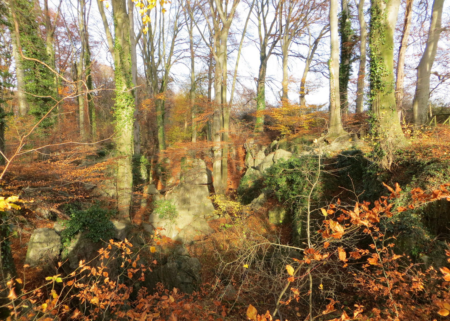 Farbenrausch im Felsenmeer