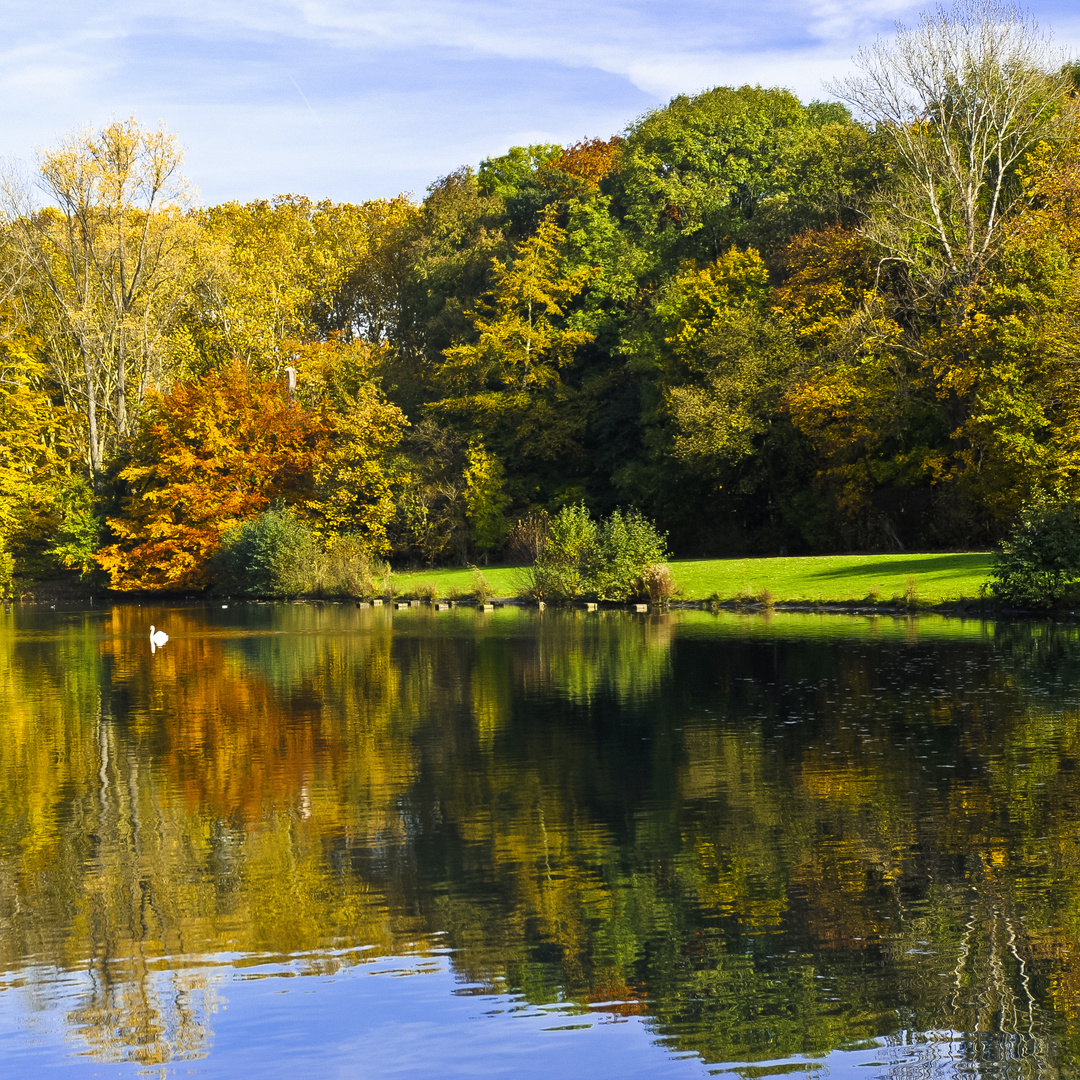 Farbenrausch im Herbst