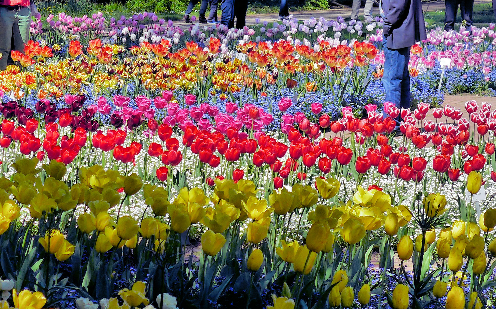 Farbenrausch in der Kölner Flora