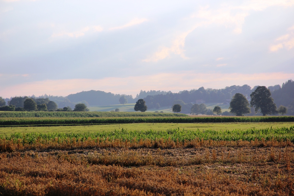 Farbensommer