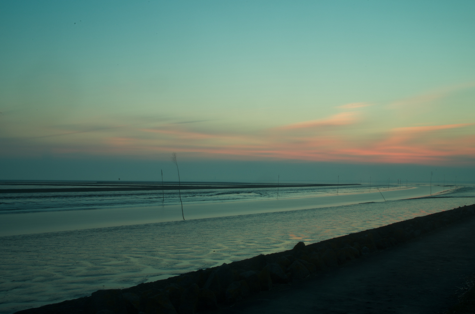 Farbenspektakel bei Ebbe