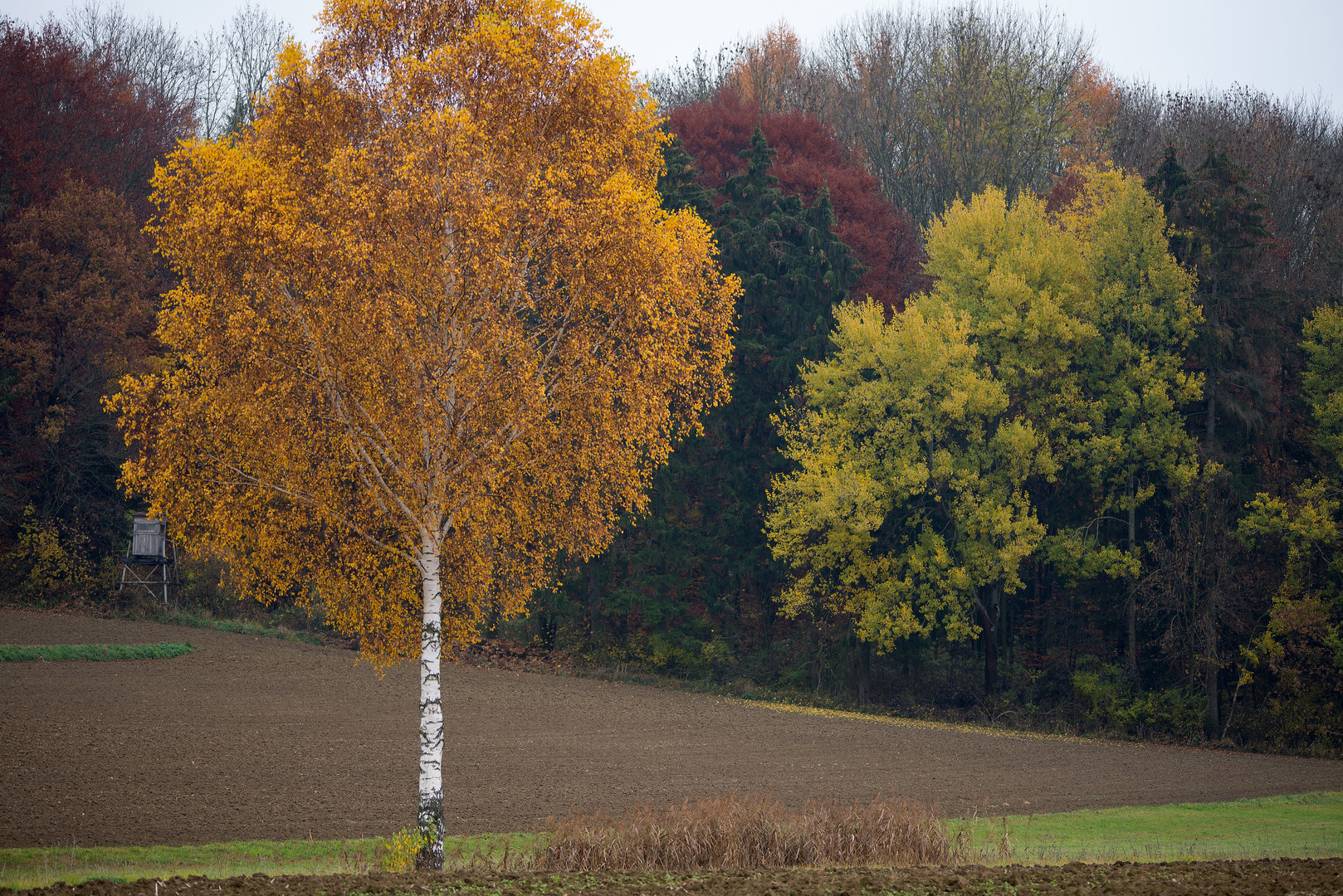 Farbenspiel