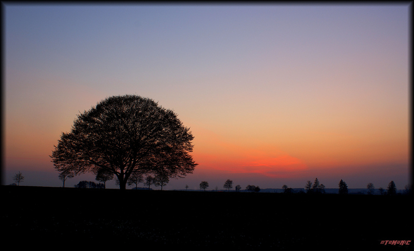 Farbenspiel am Abendhimmel