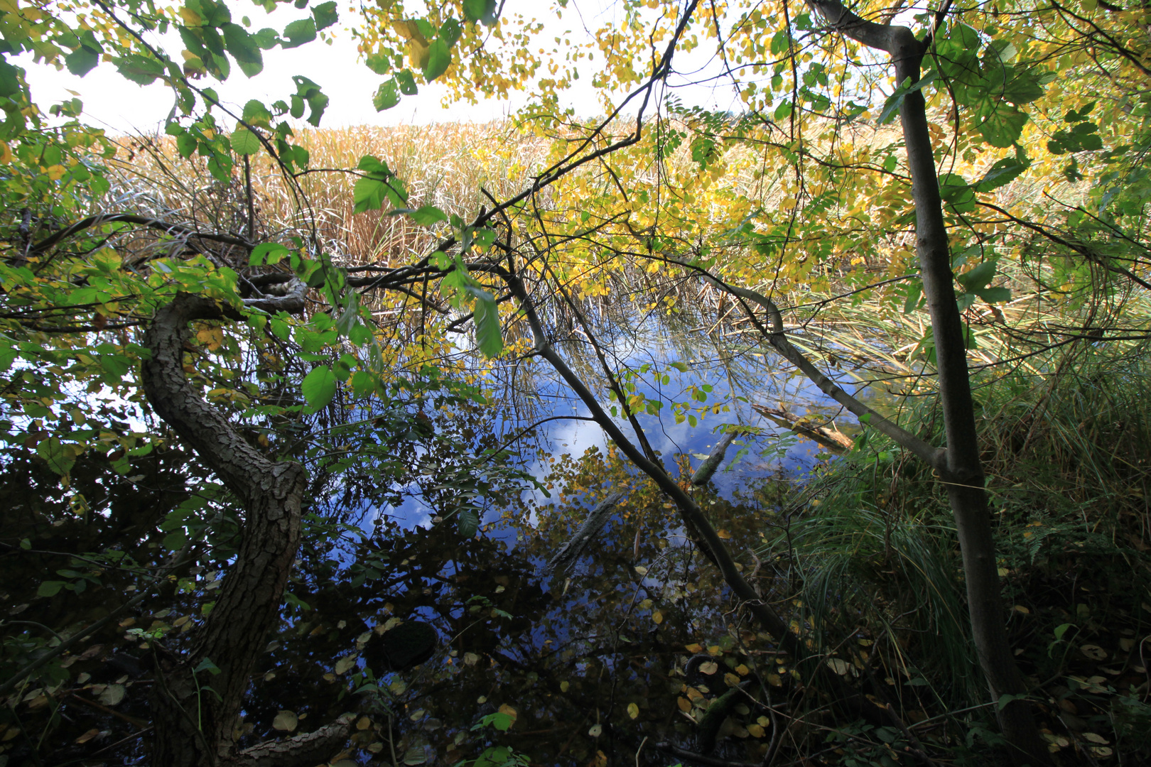 Farbenspiel am Bantikower See in der Ostprignitz