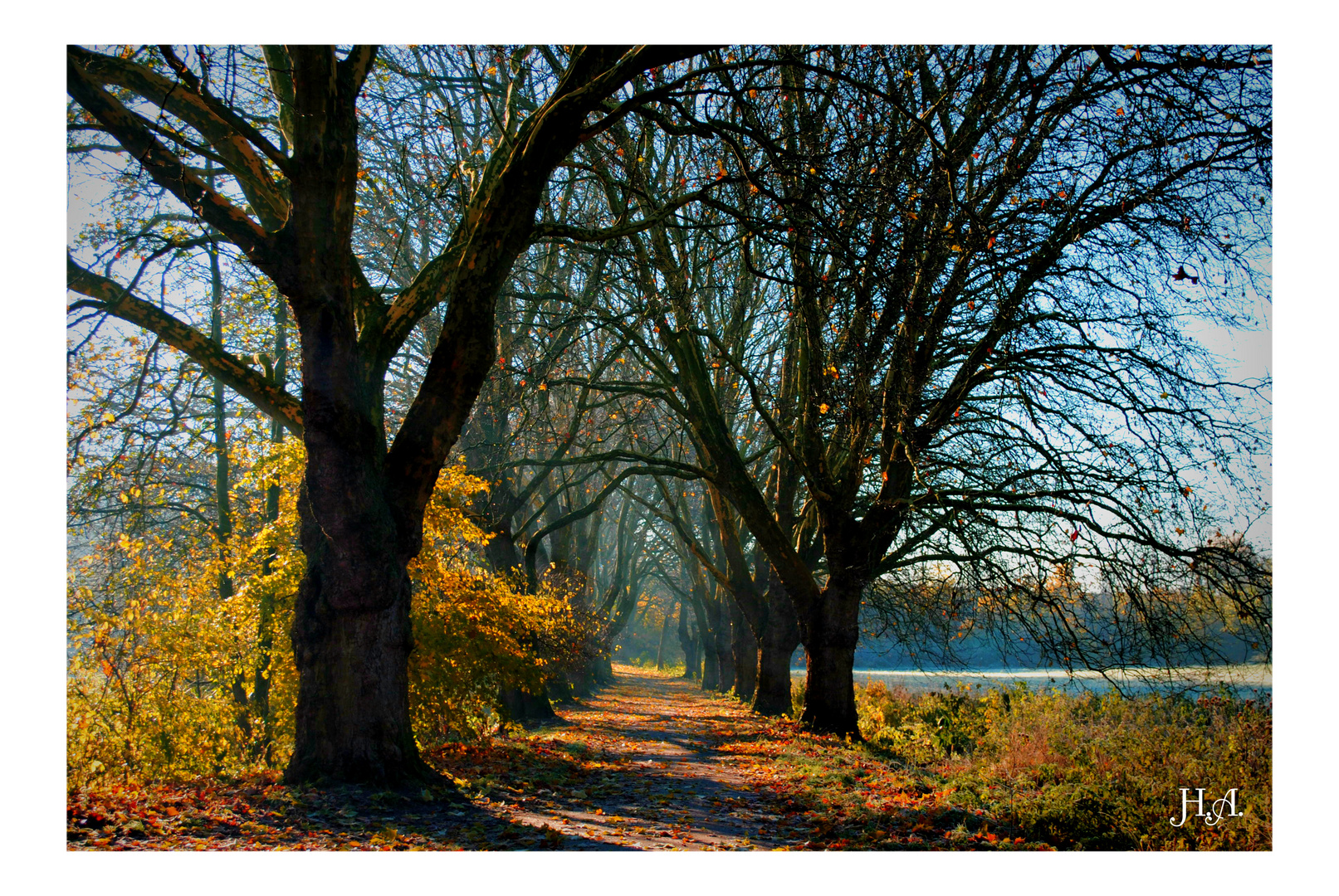 Farbenspiel am frostigen Morgen 2