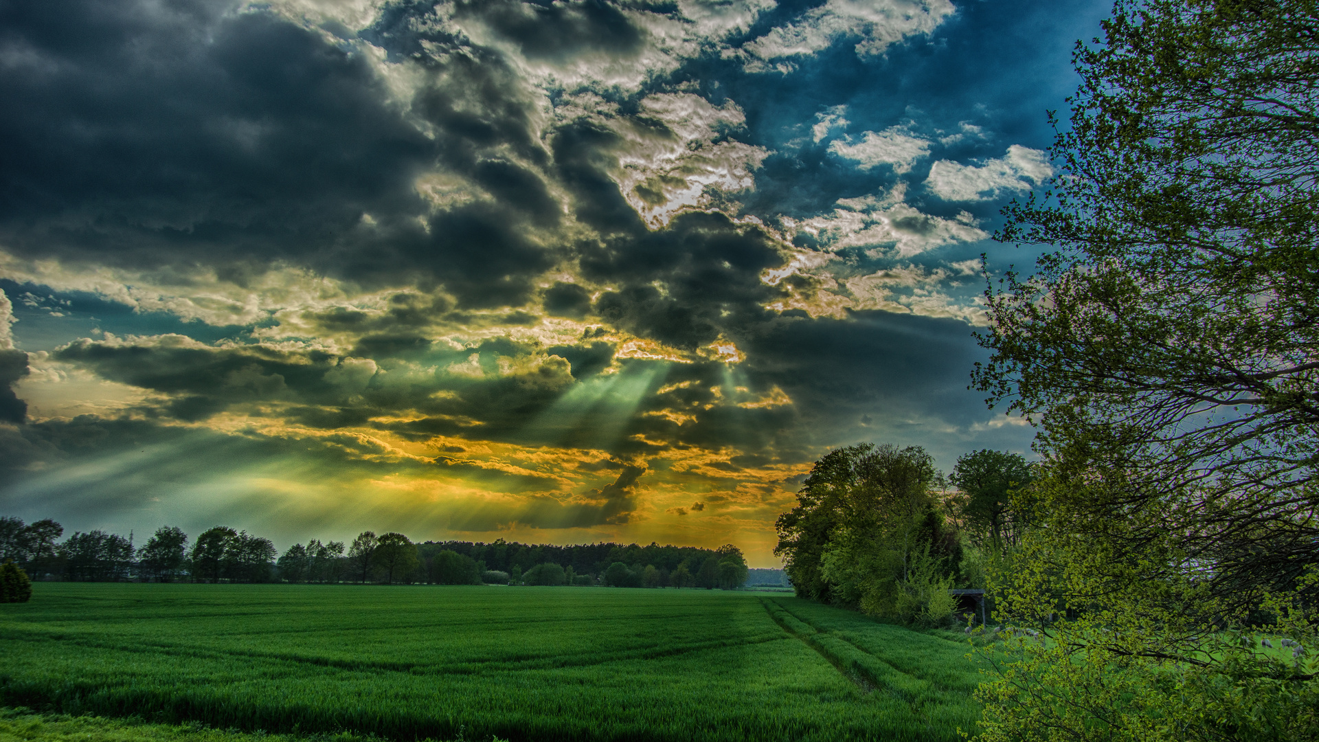 Farbenspiel am Himmel