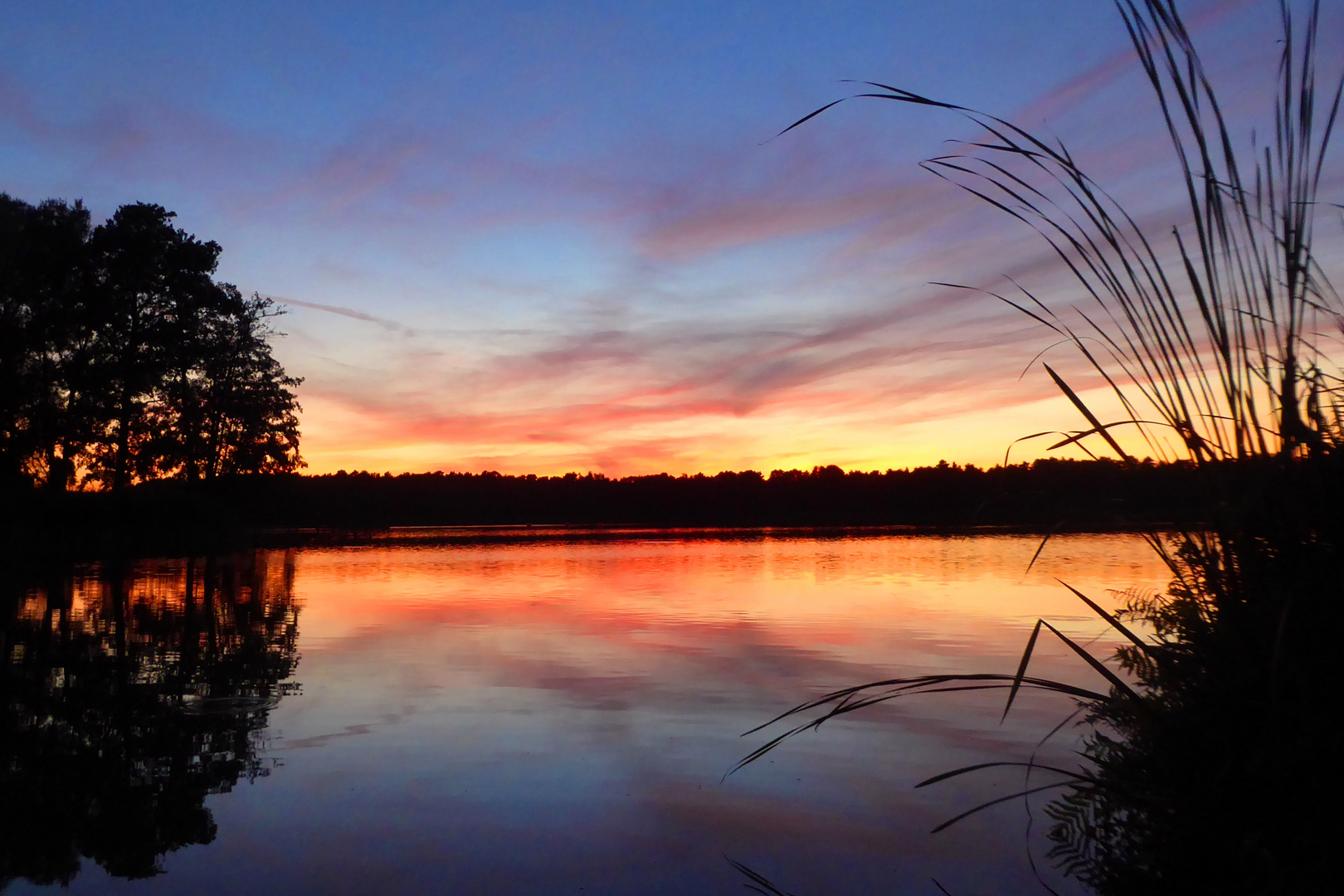 Farbenspiel am Köthener See.