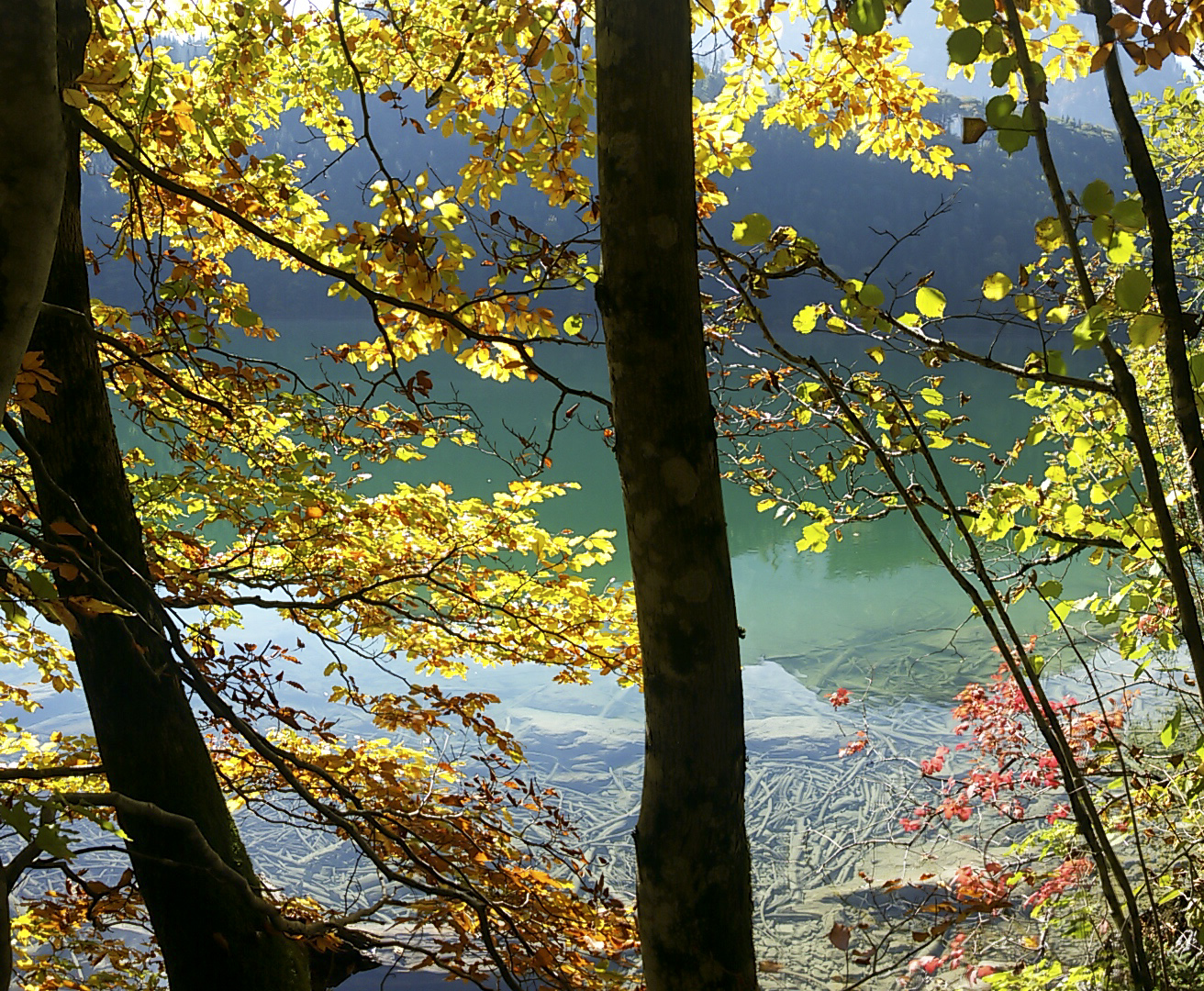 Farbenspiel am Leopoldsteinersee