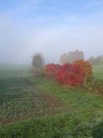 Farbenspiel am Morgen.....